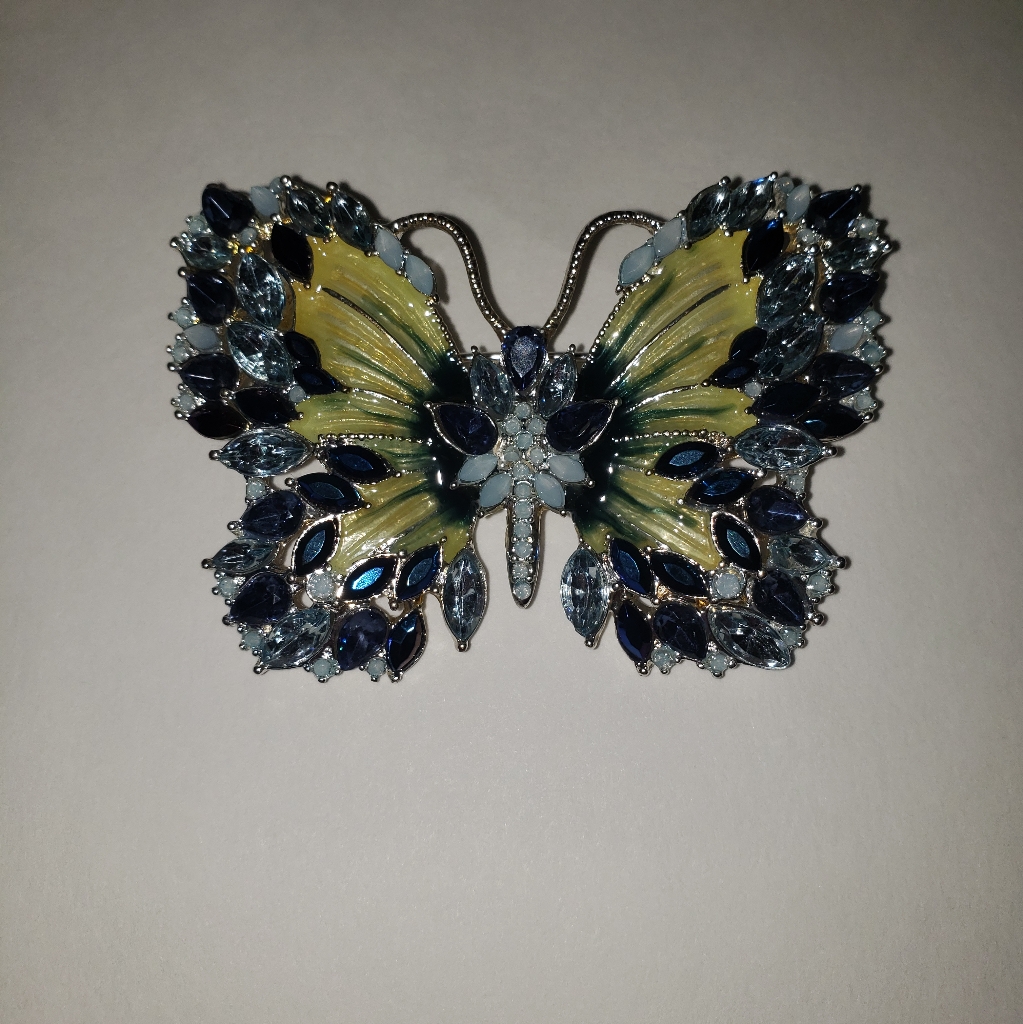 Blue Crystal Silver Tone Pin 25$
